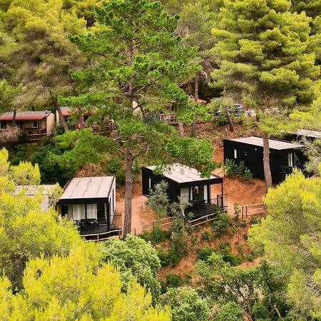 Le Pianacce Camping Village Кастаньєто-Кардуччі Екстер'єр фото