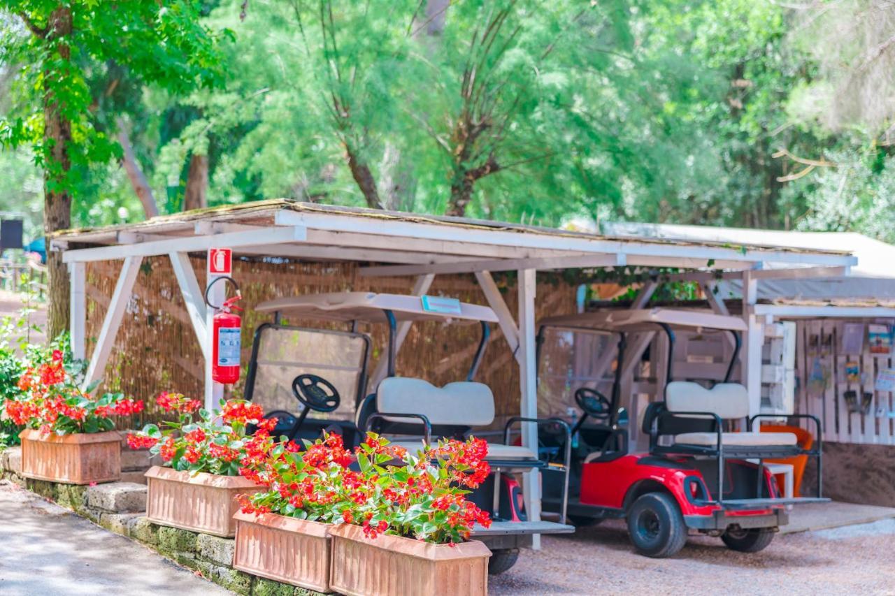 Le Pianacce Camping Village Кастаньєто-Кардуччі Екстер'єр фото